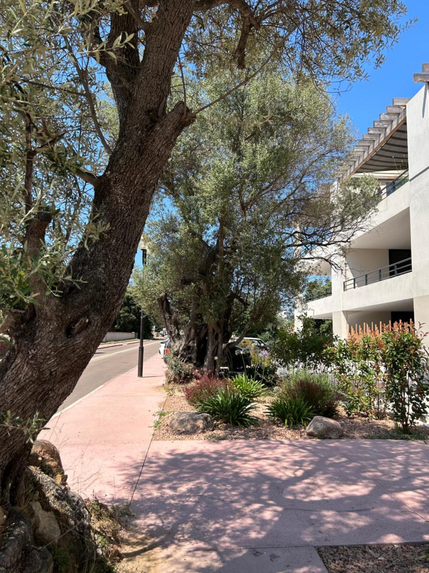 Sognu di Serena - Superbe appartement avec parking gratuit sur place Porto-Vecchio  Extérieur photo